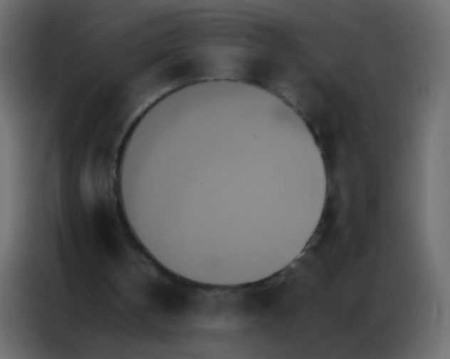 X0000086790146200705041555