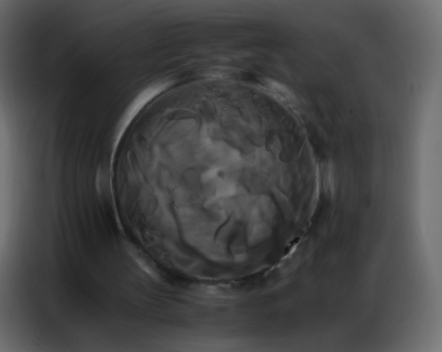 X0000086790147200705041555