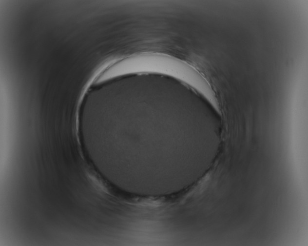 X0000086790148200705041555