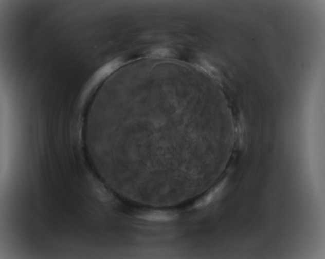 X0000086790149200705041555