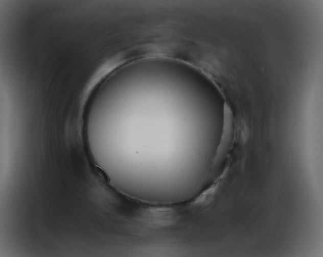 X0000086790150200705041555