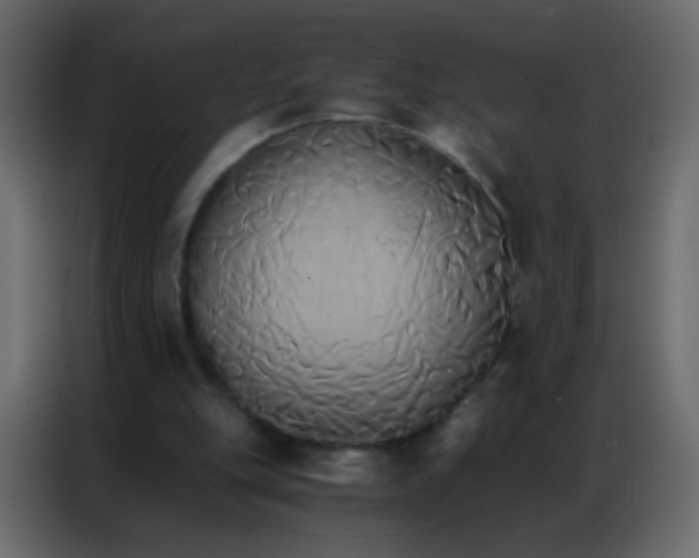 X0000086790151200705041555