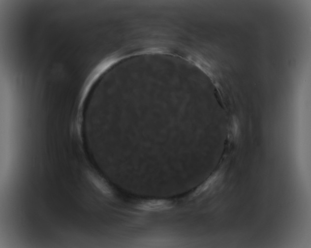 X0000086790152200705041555