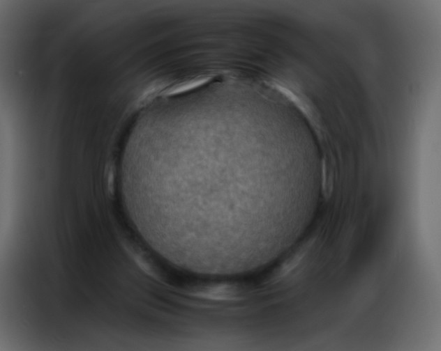 X0000086790157200705041555