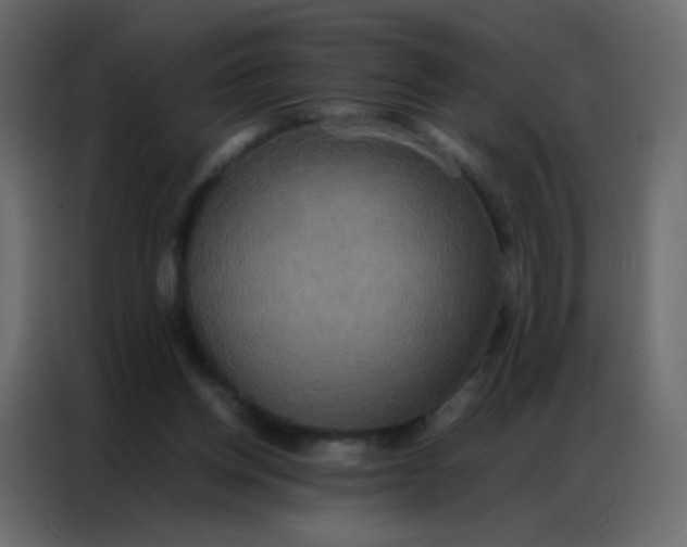 X0000086790158200705041555