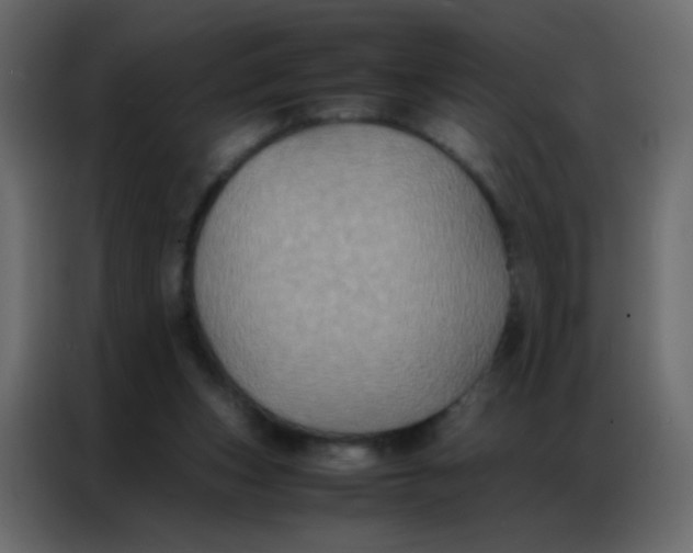 X0000086790159200705041555