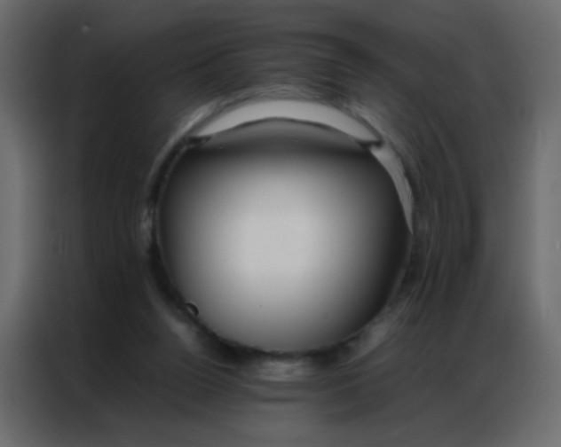 X0000086790160200705041555