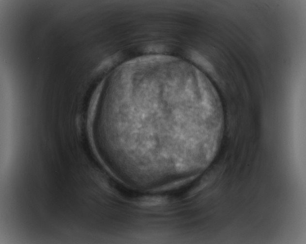 X0000086790161200705041555