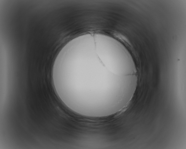 X0000086790162200705041555