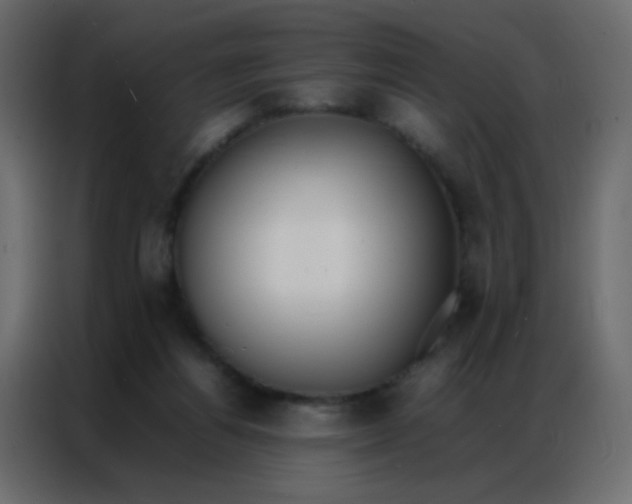 X0000086790164200705041555