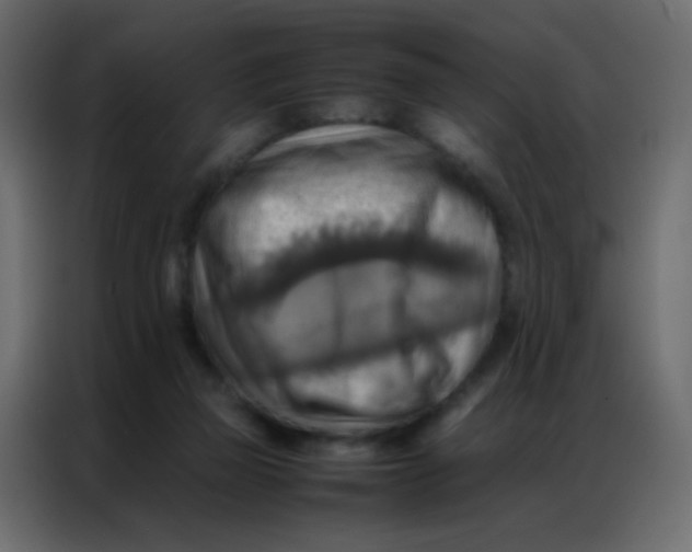 X0000086790165200705041555