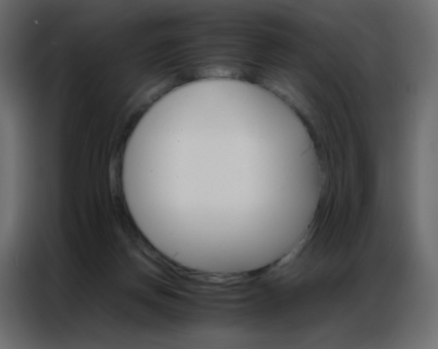 X0000086790166200705041555