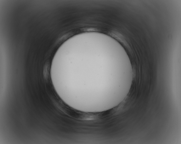 X0000086790167200705041555