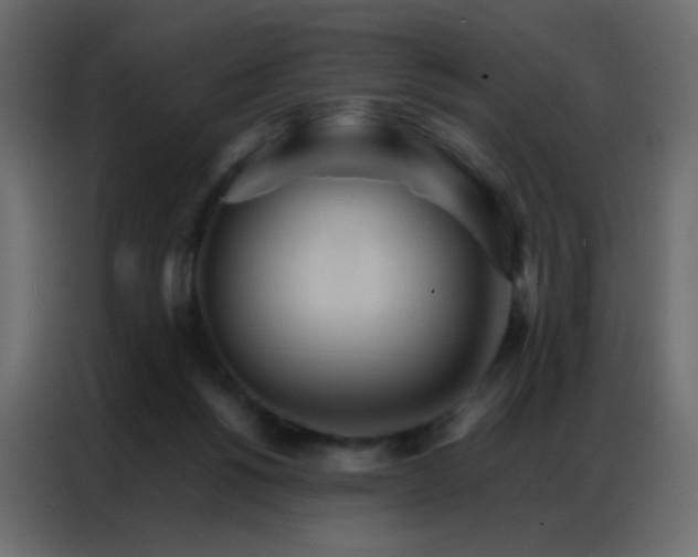 X0000086790168200705041555