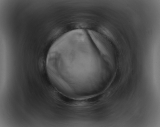 X0000086790169200705041555