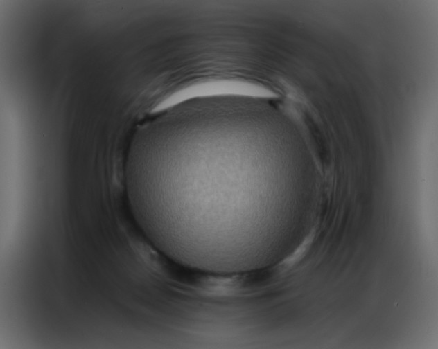 X0000086790170200705041555