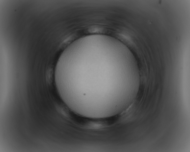 X0000086790171200705041555