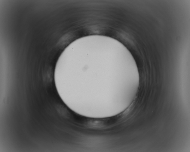 X0000086790174200705041555