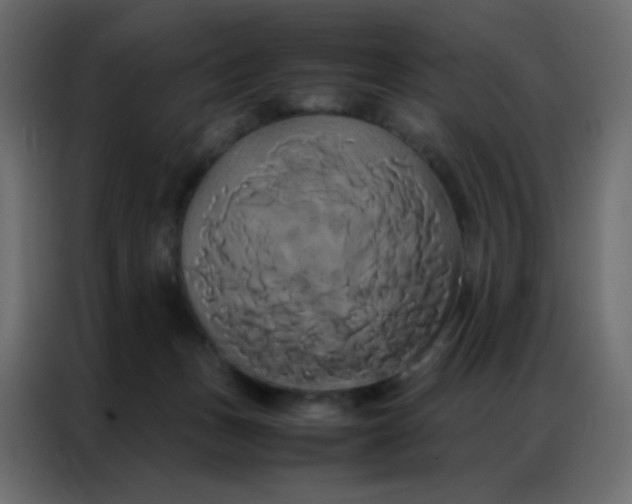 X0000086790175200705041555