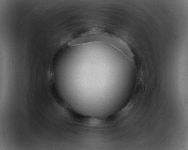 X0000086790176200705041555