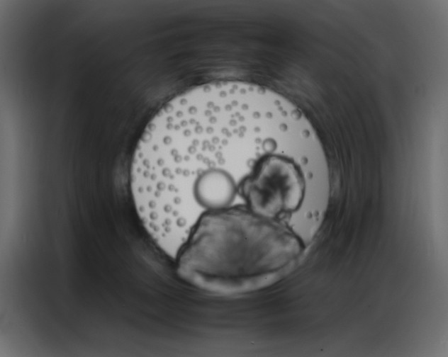 X0000086790179200705041555