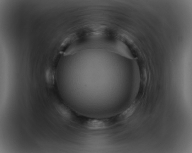 X0000086790180200705041555