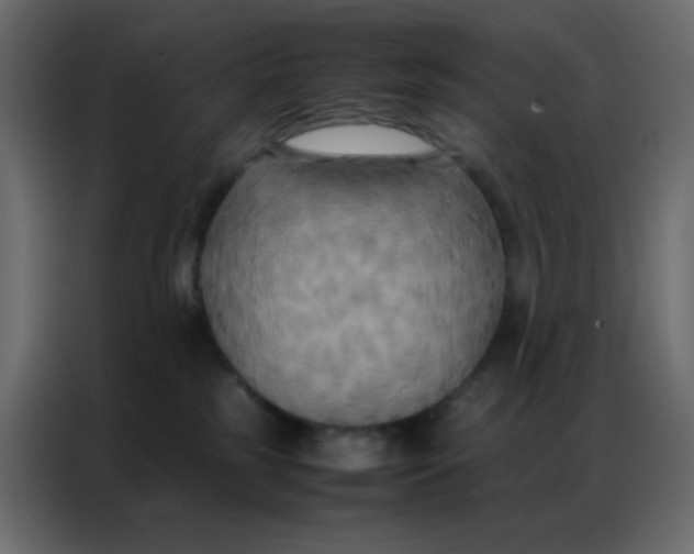 X0000086790185200705041556