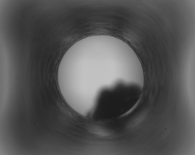 X0000086790187200705041556