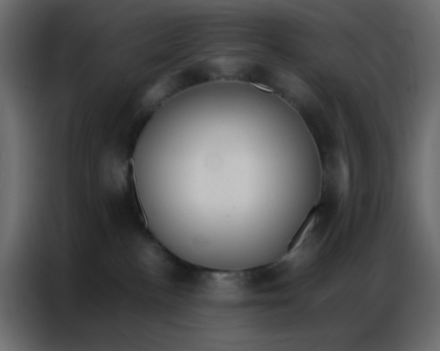 X0000086790188200705041556