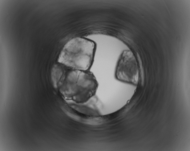 X0000086790189200705041556