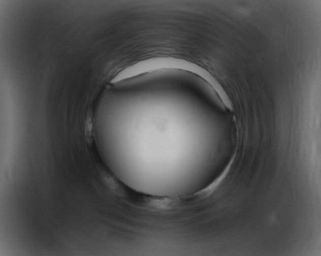 X0000086790190200705041556