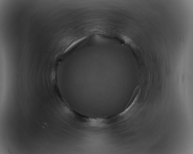 X0000086790192200705041556