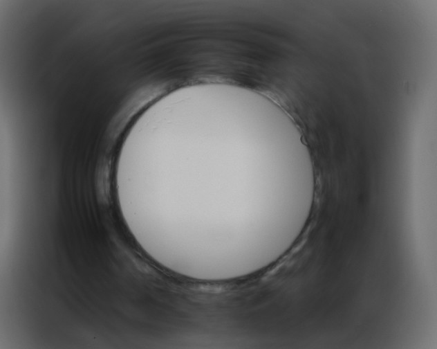 X0000086790194200705041555