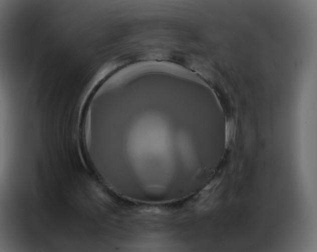 X0000086790195200705041555