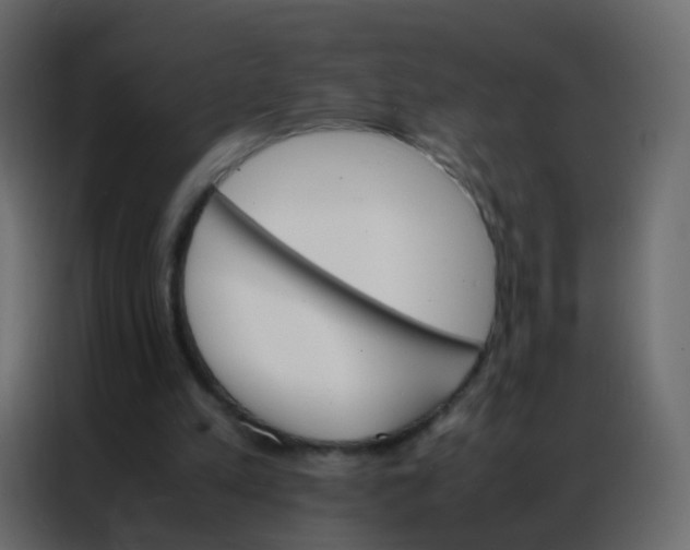 X0000086790197200705041555