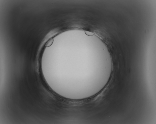 X0000086790198200705041555