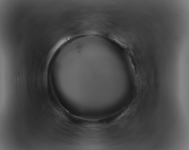 X0000086790200200705041555