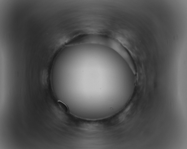 X0000086790201200705041555