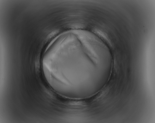 X0000086790202200705041555