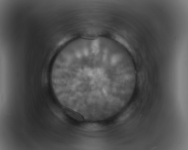 X0000086790203200705041555