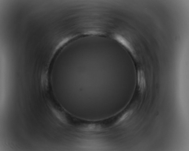 X0000086790204200705041555