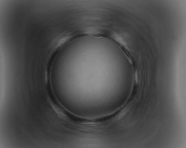 X0000086790205200705041555