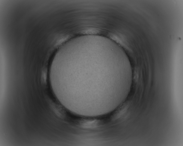 X0000086790206200705041555