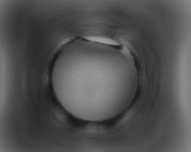 X0000086790207200705041555