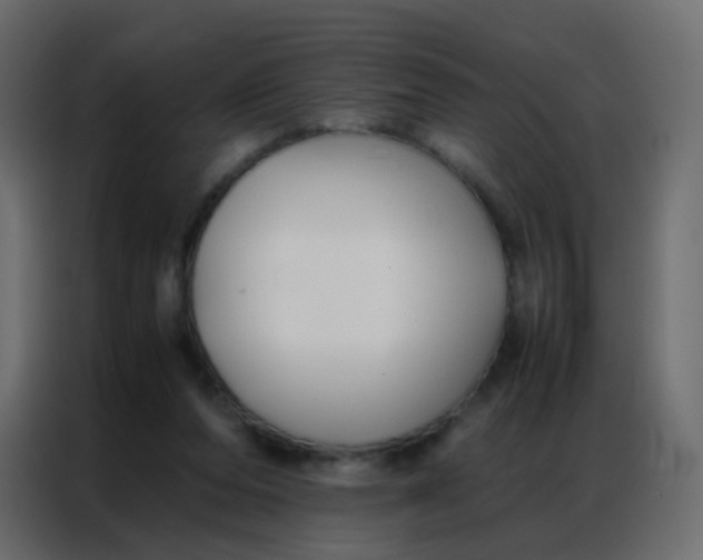 X0000086790208200705041555