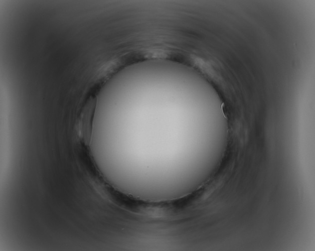 X0000086790209200705041555