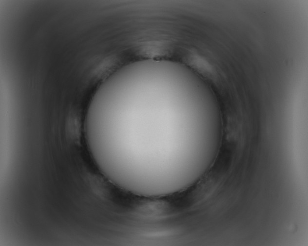 X0000086790210200705041555