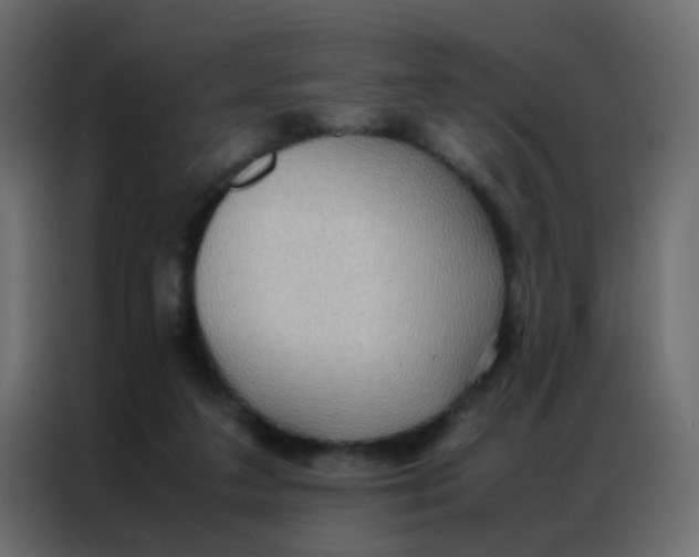 X0000086790211200705041555