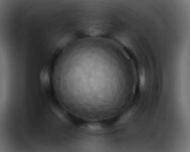 X0000086790214200705041555