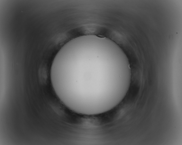 X0000086790215200705041555